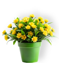 Produsele tale preferate, la un click distanță